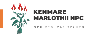 kenmare marlothii